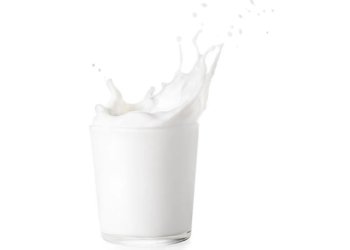 Milk