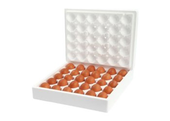 Egg